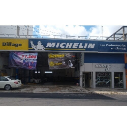 Distribuidor Michelin